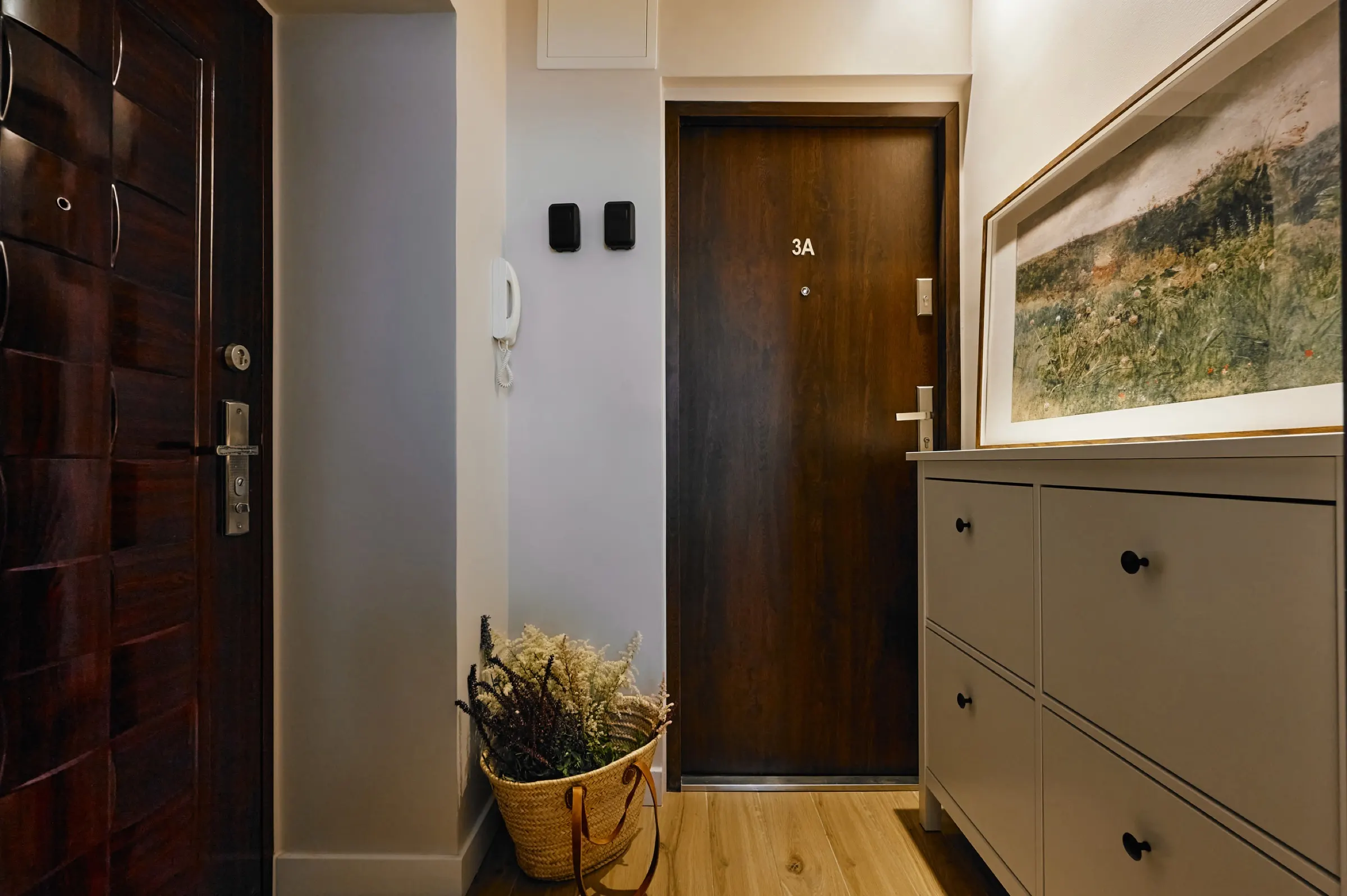 Entrance hall with a shoe cabinet